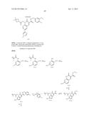 CYTOMEGALOVIRUS INHIBITOR COMPOUNDS diagram and image