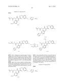 CYTOMEGALOVIRUS INHIBITOR COMPOUNDS diagram and image