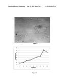 ISOLATION OF STEM CELLS FROM ADIPOSE TISSUE BY ULTRASONIC CAVITATION, AND     METHODS OF USE diagram and image