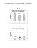 TREATMENT OF TUMOR SUPPRESSOR GENE RELATED DISEASES BY INHIBITION OF     NATURAL ANTISENSE TRANSCRIPT TO THE GENE diagram and image