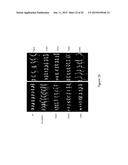 Plant drought tolerance and nitrogen use efficiency by reducing plant     sensitivity to ethylene diagram and image