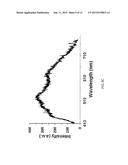 HYBRID NANOPHOSPHORS AND UV OR NEAR UV-DRIVEN WHITE LIGHT EMITTING DIODE diagram and image