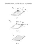 ELECTROPHORESIS GEL CASSETTE AND A MTHOD OF FILLING AN ELECTROPHORESIS GEL     CASSETTE diagram and image