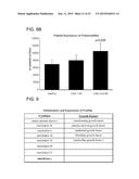 COMPOSITIONS AND METHODS FOR ASSAYING PLATELET REACTIVITY AND TREATMENT     SELECTION diagram and image