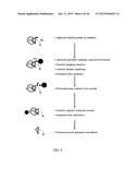 Renal Cell Carcinoma Biomarkers and Uses Thereof diagram and image