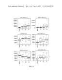 Renal Cell Carcinoma Biomarkers and Uses Thereof diagram and image