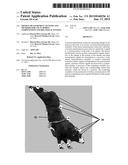 MOTION MEASUREMENT SYSTEMS AND METHODS FOR USE IN RODEO COMPETITIONS AND     RELATED ACTIVITIES diagram and image