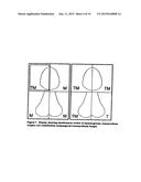 IMAGE HANDLING AND DISPLAY IN X-RAY MAMMOGRAPHY AND TOMOSYNTHESIS diagram and image