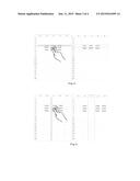 METHOD FOR INSERTING OR DELETING CELLS, ROWS OR COLUMNS IN SPREADSHEET AND     A DEVICE THEREFOR diagram and image