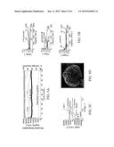 ELECTRODES, LITHIUM-ION BATTERIES, AND METHODS OF MAKING AND USING SAME diagram and image