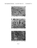 POLYOLEFIN COMPOSITION WITH POLY(PHENYLENE ETHER) FILLER AND ARTICLE     THEREOF diagram and image