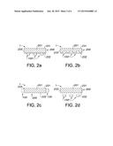 Lighting device with polymer containing luminescent moieties diagram and image