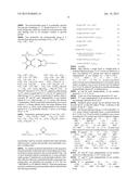 METHOD OF PREPARING A BIREFRINGENT POLYMER FILM diagram and image