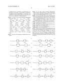 METHOD OF PREPARING A BIREFRINGENT POLYMER FILM diagram and image