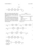 METHOD OF PREPARING A BIREFRINGENT POLYMER FILM diagram and image