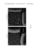 MICROBIAL TESTING DEVICES, METHODS OF MAKING MICROBIAL TESTING DEVICES AND     METHODS OF IDENTIFYING NOVEL ANTIMICROBIAL DRUG CANDIDATES diagram and image