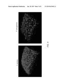 MICROBIAL TESTING DEVICES, METHODS OF MAKING MICROBIAL TESTING DEVICES AND     METHODS OF IDENTIFYING NOVEL ANTIMICROBIAL DRUG CANDIDATES diagram and image