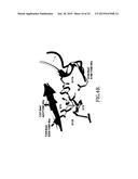 BETA-LACTAMASE SUBSTRATES AND METHODS OF THEIR USE FOR THE DIAGNOSIS OF     TUBERCULOSIS diagram and image