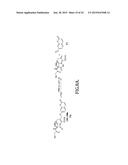 BETA-LACTAMASE SUBSTRATES AND METHODS OF THEIR USE FOR THE DIAGNOSIS OF     TUBERCULOSIS diagram and image