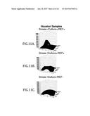 BETA-LACTAMASE SUBSTRATES AND METHODS OF THEIR USE FOR THE DIAGNOSIS OF     TUBERCULOSIS diagram and image