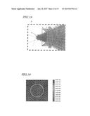 ILLUMINATION DEVICE diagram and image