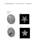 ILLUMINATION DEVICE diagram and image