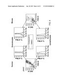 Whole Blood Assay for Measuring AMPK Activation diagram and image