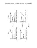 Whole Blood Assay for Measuring AMPK Activation diagram and image