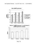 Whole Blood Assay for Measuring AMPK Activation diagram and image