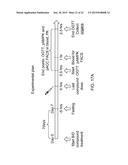 Whole Blood Assay for Measuring AMPK Activation diagram and image