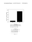 BIOMARKERS FOR COLORECTAL CANCER DIAGNOSIS AND PREDICTION diagram and image