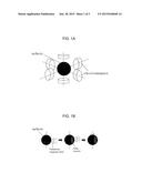 METHOD OF MEASURING ROTATING SPEED OF SPHERE USING ACCELEROMETER diagram and image