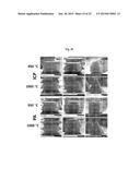 Methods of Fabricating Micro- and Nanostructure Arrays and Structures     Formed Therefrom diagram and image