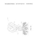 PLANT GROWTH APPARATUS AND METHOD diagram and image