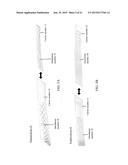 TISSUE FIXATION diagram and image