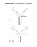 Device Delivery System diagram and image