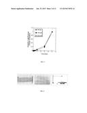 MUCOADHESIVE DEVICES FOR DELIVERY OF ACTIVE AGENTS diagram and image