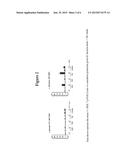 SYNBIOTIC MIXTURE diagram and image