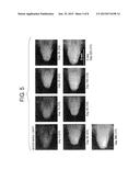 GENE TRANSFER INTO AIRWAY EPITHELIAL STEM CELL BY USING LENTIVIRAL VECTOR     PSEUDOTYPED WITH RNA VIRUS OR DNA VIRUS SPIKE PROTEIN diagram and image