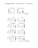 IDENTIFYING AND MODULATING MOLECULAR PATHWAYS THAT MEDIATE NERVOUS SYSTEM     PLASTICITY diagram and image