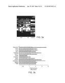 IDENTIFYING AND MODULATING MOLECULAR PATHWAYS THAT MEDIATE NERVOUS SYSTEM     PLASTICITY diagram and image