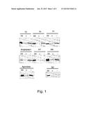 APROTININ POLYPEPTIDES FOR TRANSPORTING A COMPOUND ACROSS THE BLOOD-BRAIN     BARRIER diagram and image