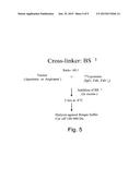 APROTININ POLYPEPTIDES FOR TRANSPORTING A COMPOUND ACROSS THE BLOOD-BRAIN     BARRIER diagram and image