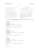 APROTININ POLYPEPTIDES FOR TRANSPORTING A COMPOUND ACROSS THE BLOOD-BRAIN     BARRIER diagram and image