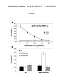 MODULATION OF IMMUNITY AND CEACAM1 ACTIVITY diagram and image