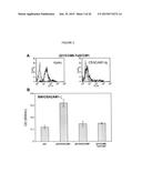 MODULATION OF IMMUNITY AND CEACAM1 ACTIVITY diagram and image