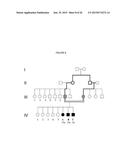 MODULATION OF IMMUNITY AND CEACAM1 ACTIVITY diagram and image