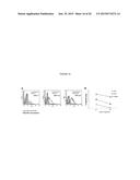 MODULATION OF IMMUNITY AND CEACAM1 ACTIVITY diagram and image