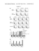 MODULATION OF IMMUNITY AND CEACAM1 ACTIVITY diagram and image