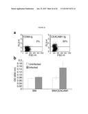 MODULATION OF IMMUNITY AND CEACAM1 ACTIVITY diagram and image